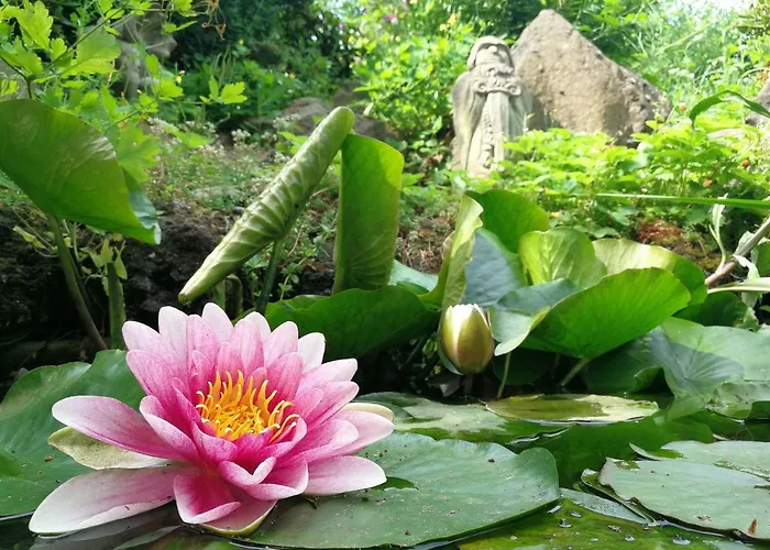 Wandertraum Johann - Eifel